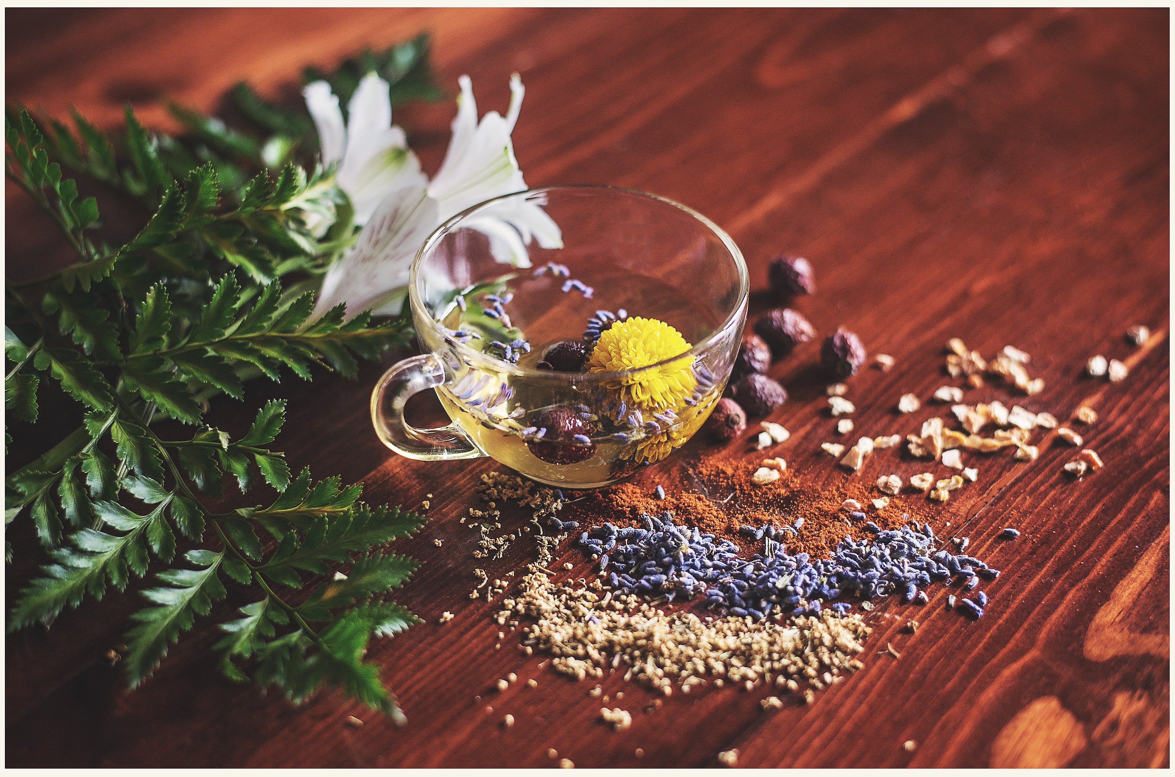 Internal Health