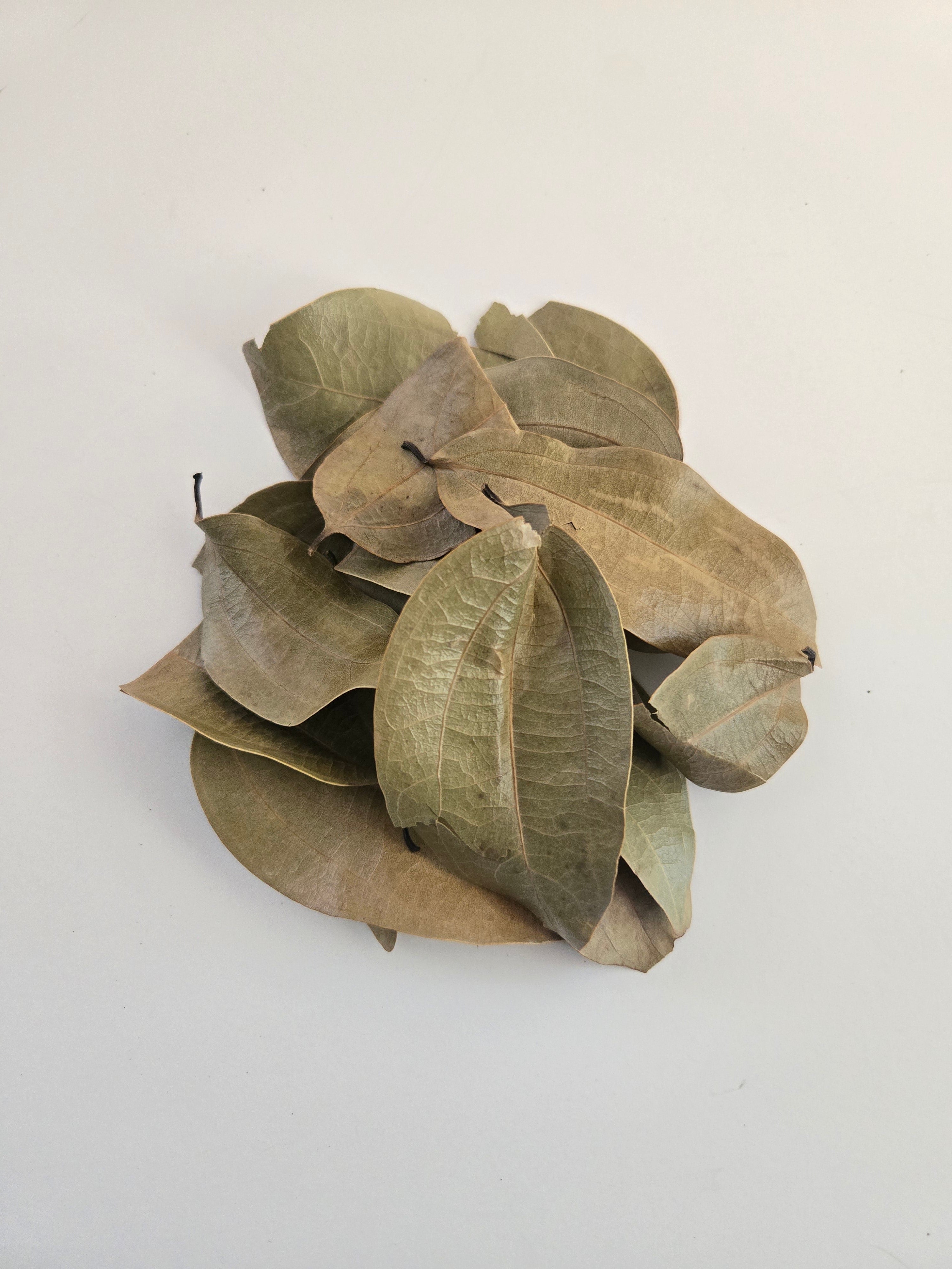Wild Harvested Jamaican Cinnamon Leaves