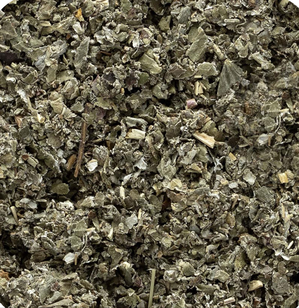 Red Raspberry Tea Leaf