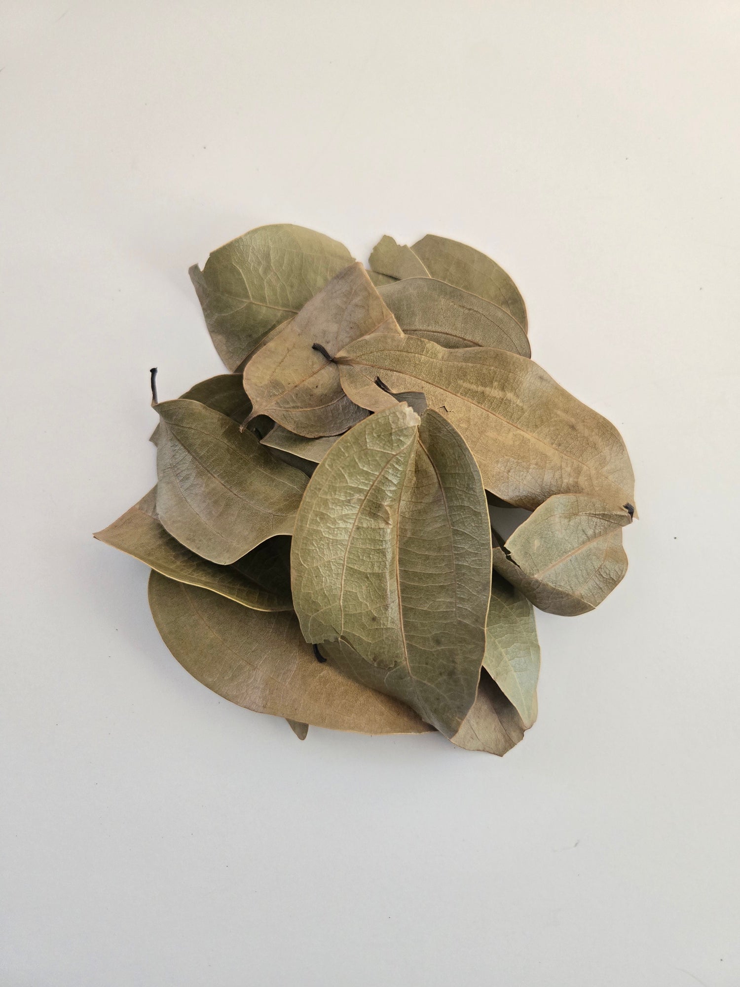 Wild Harvested Jamaican Cinnamon Leaves